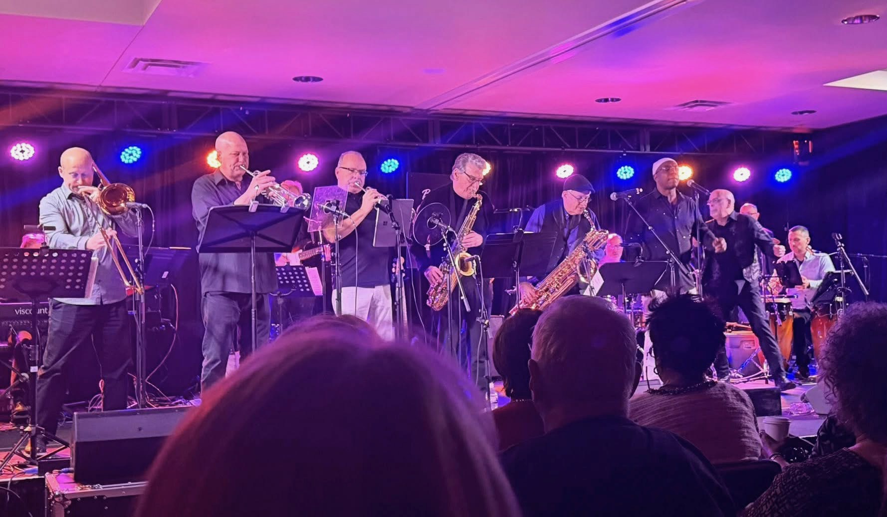 The band mid-song seen over the heads of the audience in the front row