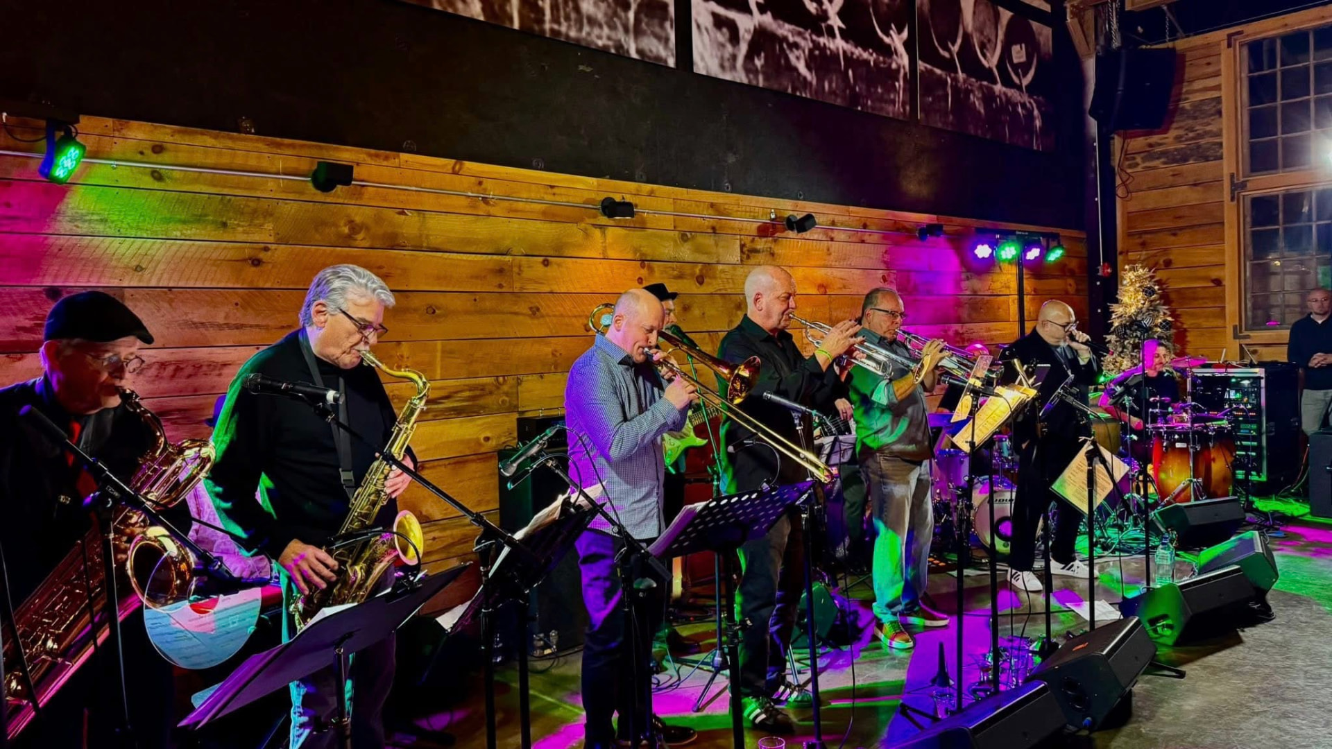 The Dance Hall Docs horn section playing saxophones, trumpet and trombone under colored lights